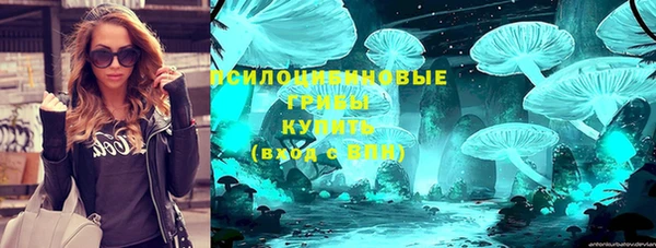 PSILOCYBIN Володарск