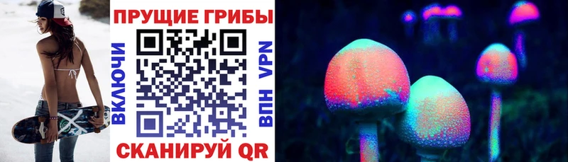 Купить закладки  Кудымкар  Псилоцибиновые грибы Magic Shrooms 