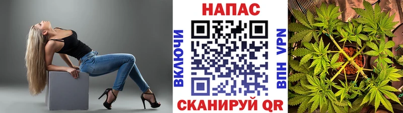 Купить где  Кудымкар  Шишки марихуана Bruce Banner 
